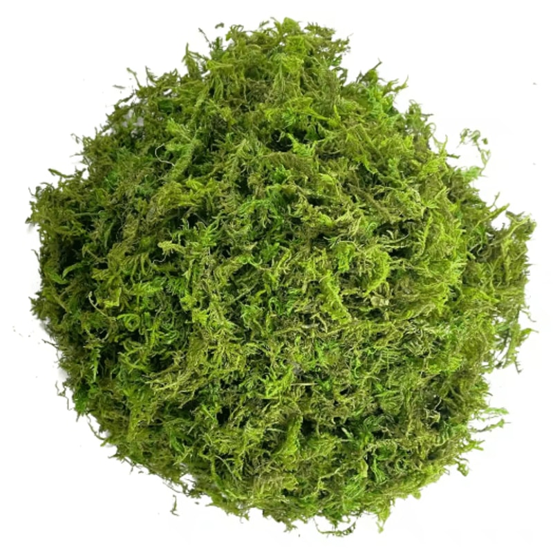 Artificial Green Moss For Plants Crafts Decorative Orchid Potting Moss And DIY Decor Fill 1