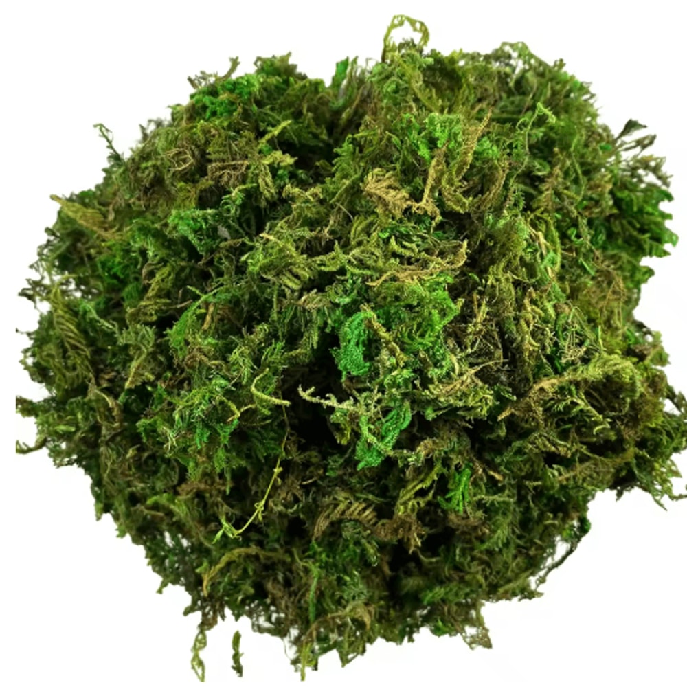 Artificial Green Moss For Plants Crafts Decorative Orchid Potting Moss And DIY Decor Fill 2