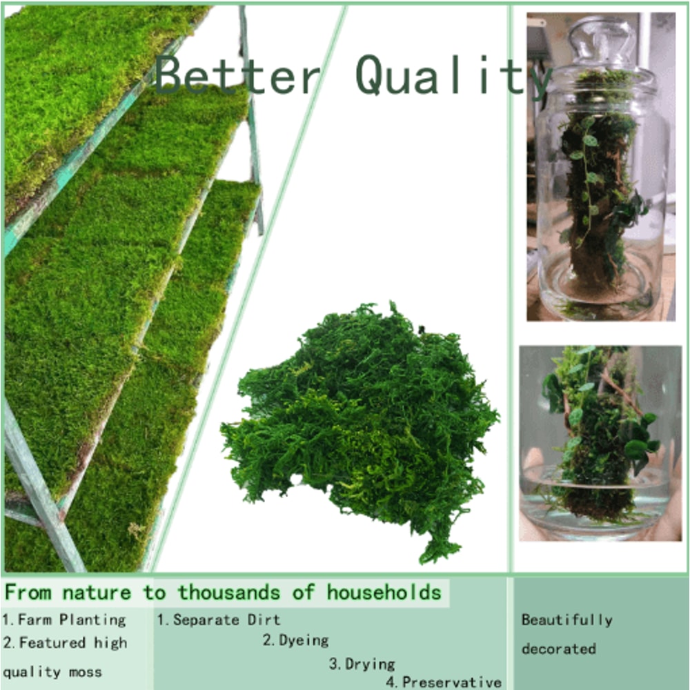 Artificial Green Moss For Plants Crafts Decorative Orchid Potting Moss And DIY Decor Fill 3