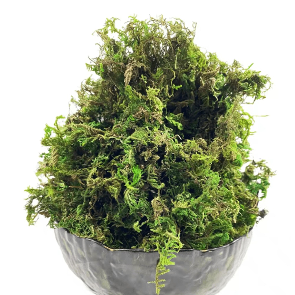 Artificial Green Moss For Plants Crafts Decorative Orchid Potting Moss And DIY Decor Fill 6