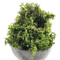 Artificial Green Moss For Plants Crafts Decorative Orchid Potting Moss And DIY Decor Fill 6