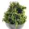 Artificial Green Moss For Plants Crafts Decorative Orchid Potting Moss And DIY Decor Fill 6