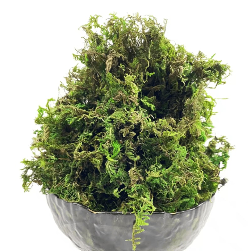 Artificial Green Moss For Plants Crafts Decorative Orchid Potting Moss And DIY Decor Fill 6