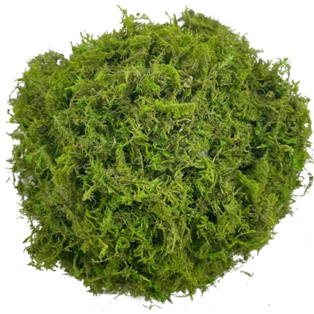 Artificial Green Moss For Plants Crafts Decorative Orchid Potting Moss And DIY Decor Fill 7