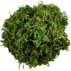 artificial green moss for plants & crafts decorative orchid potting moss and diy decor fill