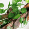 Artificial Ivy Leaves Garland Vines Fake Hanging Greenery For Wall Outdoor Decor 210M 7