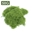 Artificial Moss Grass For DIY Crafts Mini Landscape Fake Grass For Home Garden Decor 30g500g 4