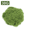 Artificial Moss Grass For DIY Crafts Mini Landscape Fake Grass For Home Garden Decor 30g500g 5