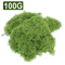 Artificial Moss Grass For DIY Crafts Mini Landscape Fake Grass For Home Garden Decor 30g500g 6