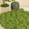 Artificial Moss Grass For DIY Crafts Mini Landscape Fake Grass For Home Garden Decor 30g500g 9