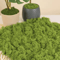 Artificial Moss Grass For DIY Crafts Mini Landscape Fake Grass For Home Garden Decor 30g500g 9