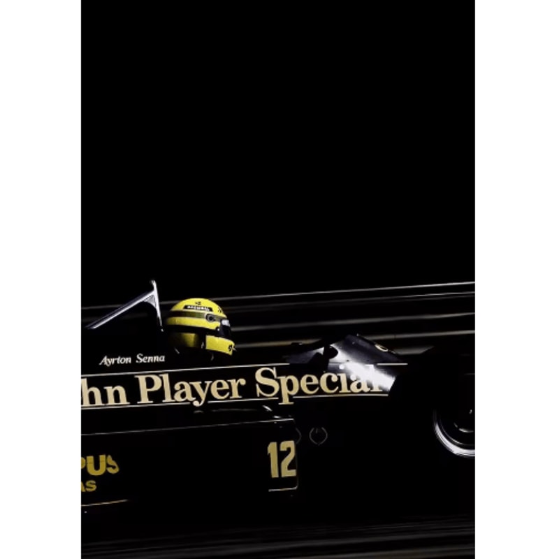 F1 Monaco Racing Wall Art Max Verstappen Print Formula 1 Canvas Decor 4