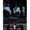 F1 Monaco Racing Wall Art Max Verstappen Print Formula 1 Canvas Decor 5