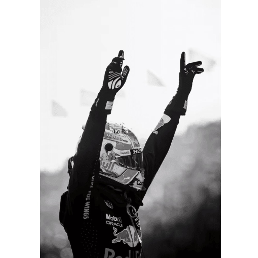 F1 Monaco Racing Wall Art Max Verstappen Print Formula 1 Canvas Decor 17