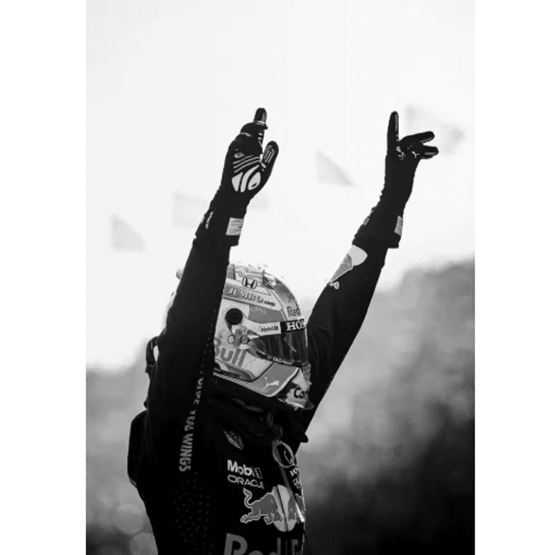 F1 Monaco Racing Wall Art Max Verstappen Print Formula 1 Canvas Decor 17