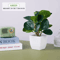 Artificial Bonsai Plant Mini Zen Garden Tabletop Tree For Home Office Decor 19