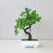 Artificial Bonsai Plant Mini Zen Garden Tabletop Tree For Home Office Decor 5