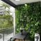 Artificial Grass Wall Panel Boxwood Hedge For Vertical Garden Greenery Wall Decor 0