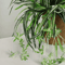 Artificial Orchid Wall Decor Hanging Green Plant For Restaurant Wedding Home Walls 3