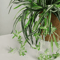 Artificial Orchid Wall Decor Hanging Green Plant For Restaurant Wedding Home Walls 3