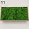 Artificial Moss Decor Mini Landscape Fake Moss Grass For DIY Crafts Home Decoration 9
