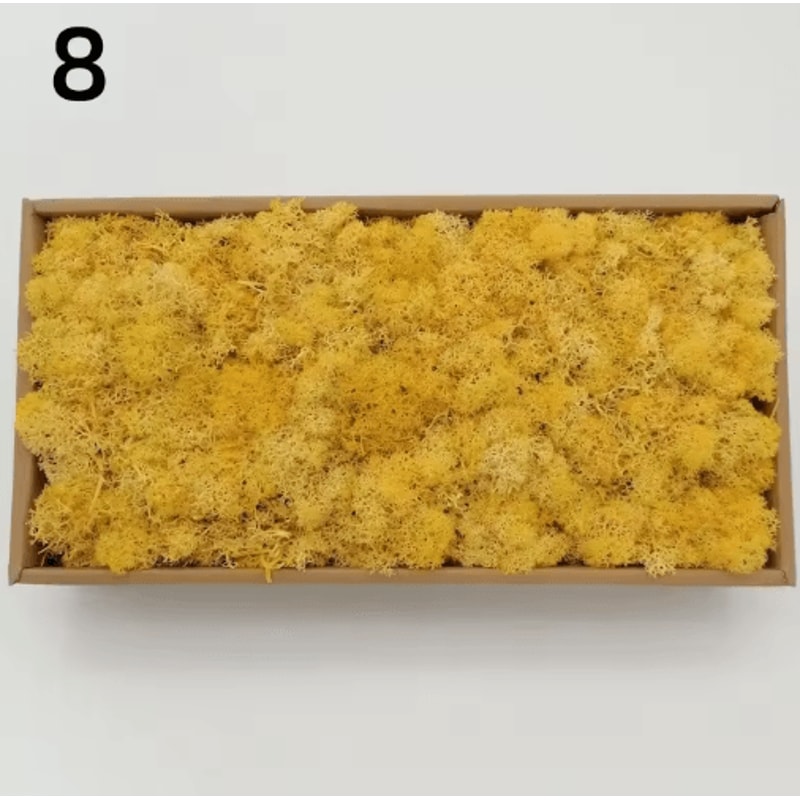 Artificial Moss Decor Mini Landscape Fake Moss Grass For DIY Crafts Home Decoration 12