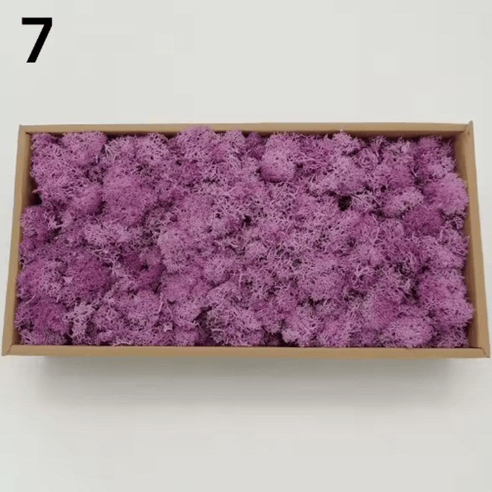 Artificial Moss Decor Mini Landscape Fake Moss Grass For DIY Crafts Home Decoration 13