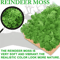 Artificial Moss Decor Mini Landscape Fake Moss Grass For DIY Crafts Home Decoration 22