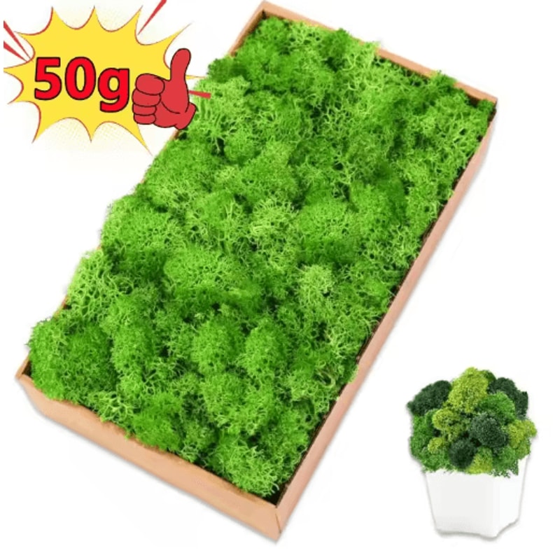 Artificial Moss Decor Mini Landscape Fake Moss Grass For DIY Crafts Home Decoration 24