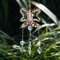 Crystal Sun Moon Wind Chime Prism Suncatcher Hanging Decor For Home Garden 0