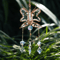 Crystal Sun Moon Wind Chime Prism Suncatcher Hanging Decor For Home Garden 0