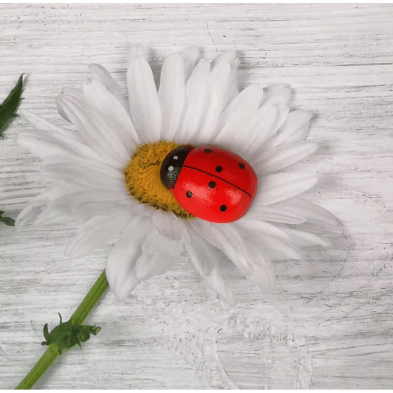 Wooden Ladybug Decor Large Miniature Fairy Garden Ornament For DIY Crafts 7
