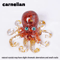 Crystal Gravel Octopus Statue Resin Reiki Stone Tabletop Decor Ornament 5