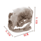 Realistic Cat Skull Model Resin Animal Skeleton Replica For Decor Study 2