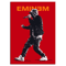 Eminem Rap Music Wall Art Hip Hop Canvas Print Poster 6