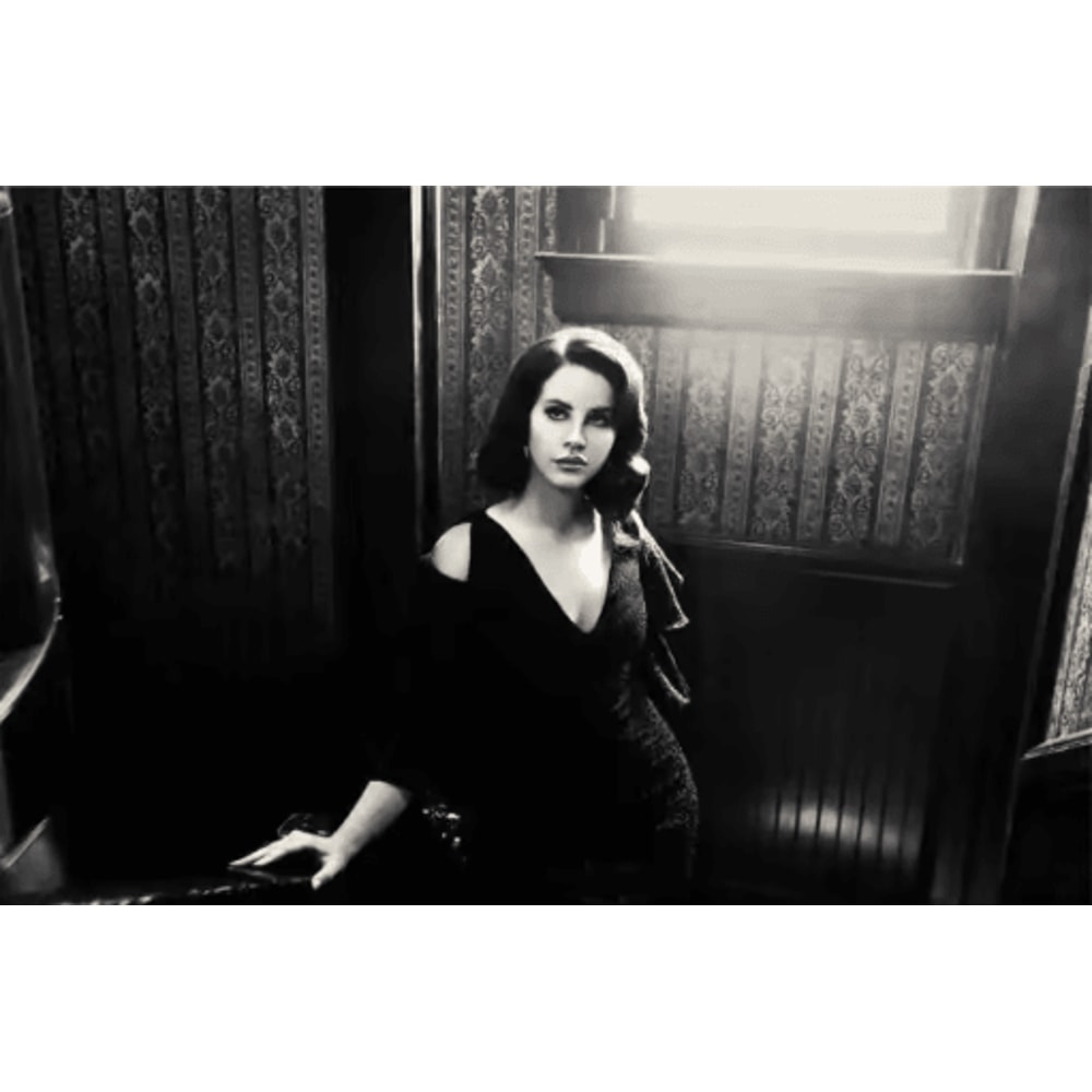 Lana Del Rey Aesthetic Poster Album Cover Canvas Wall Art 14