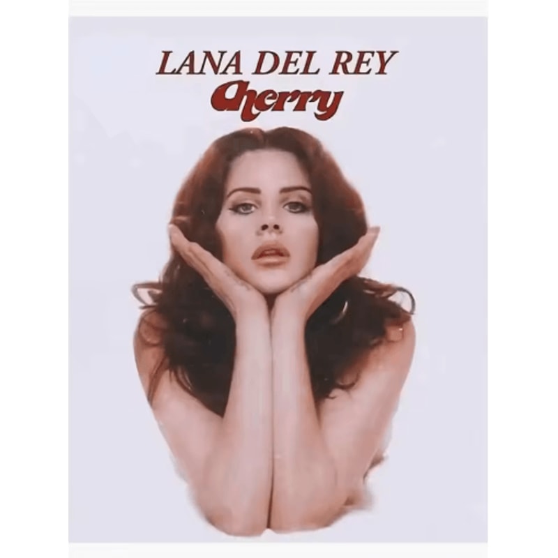 Lana Del Rey Aesthetic Poster Album Cover Canvas Wall Art 23