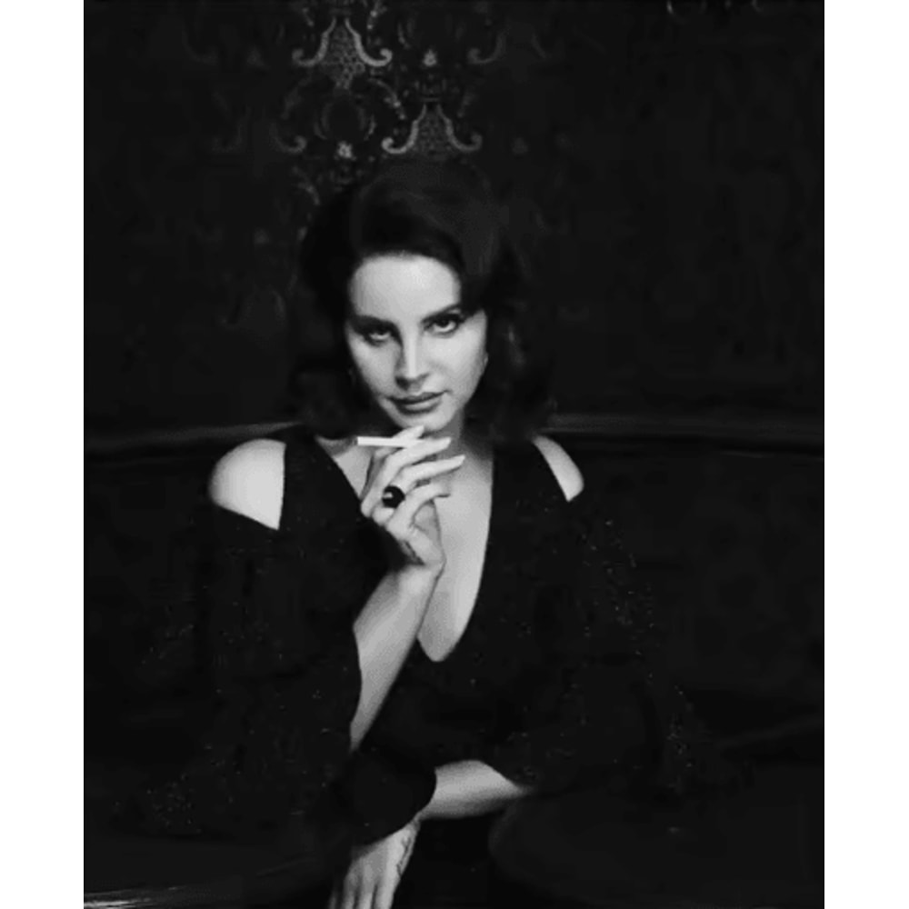 Lana Del Rey Aesthetic Poster Album Cover Canvas Wall Art 24