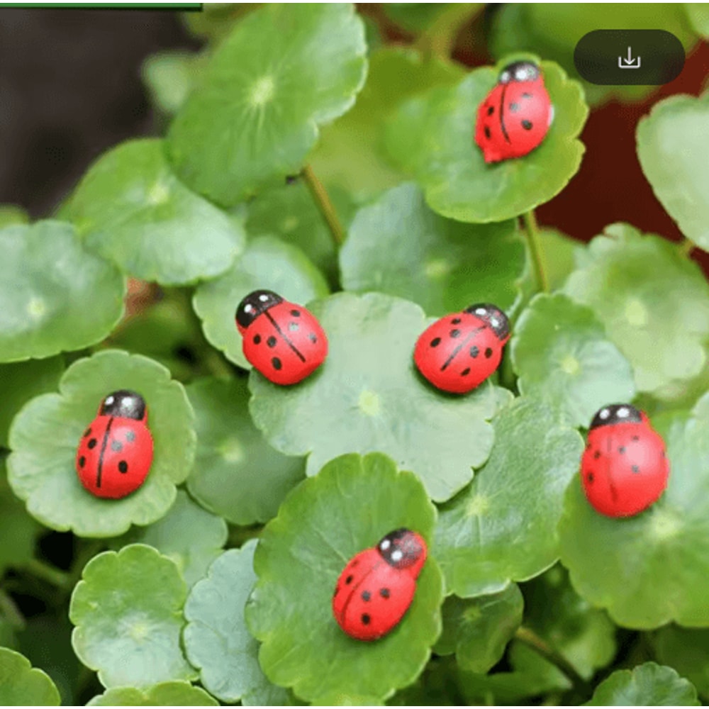 Mini Animal Figurines Set Cute Fairy Garden Bonsai Miniature Decor 13