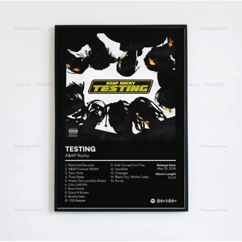 ASAP Rocky Album Cover Poster Hip Hop Music Wall Art Print 11