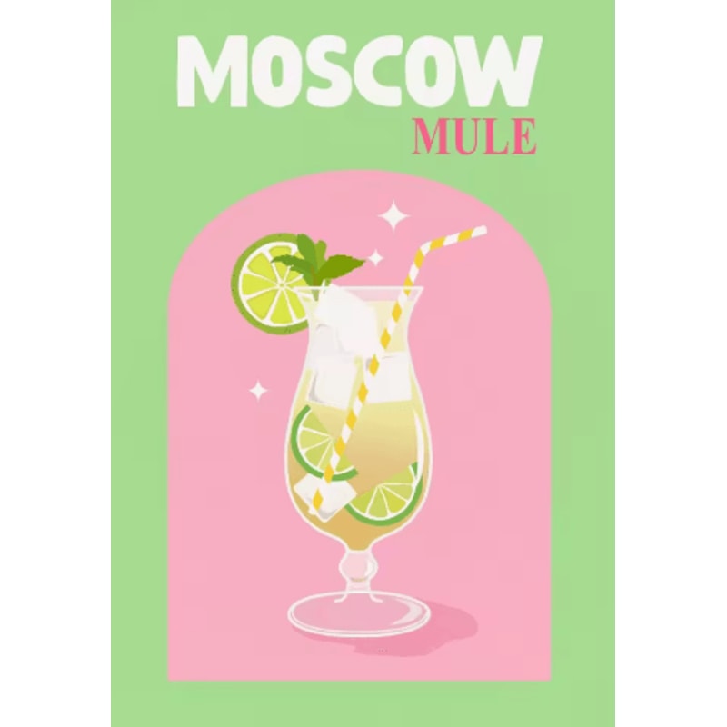 Colorful Cocktail Canvas Posters Trendy Bar Cart Whiskey Wall Art Prints 11