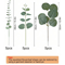Artificial Eucalyptus Bouquet Set Realistic Greenery Stems For Home Wedding Decor 369 PCS 3