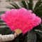 Luxury Ostrich Feather Folding Fan Large Burlesque Dance Stage Performance Fan 100130cm 15