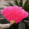Luxury Ostrich Feather Folding Fan Large Burlesque Dance Stage Performance Fan 100130cm 15