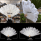 Luxury Ostrich Feather Folding Fan Large Burlesque Dance Stage Performance Fan 100130cm 19