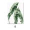 Nordic Botanical Canvas Wall Art Monstera Tropical Leaf Prints For Modern Home Decor 1