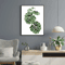 Nordic Botanical Canvas Wall Art Monstera Tropical Leaf Prints For Modern Home Decor 7