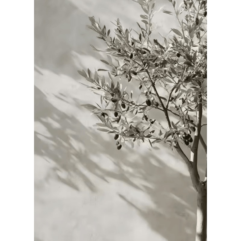 Retro Olive Tree Lemon Canvas Wall Art Elegant Mediterranean Botanical Decor 11