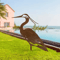 Rusted Metal Crane Garden Statue Weather Resistant Heron Yard Art Sculpture 0