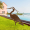 Rusted Metal Crane Garden Statue Weather Resistant Heron Yard Art Sculpture 0